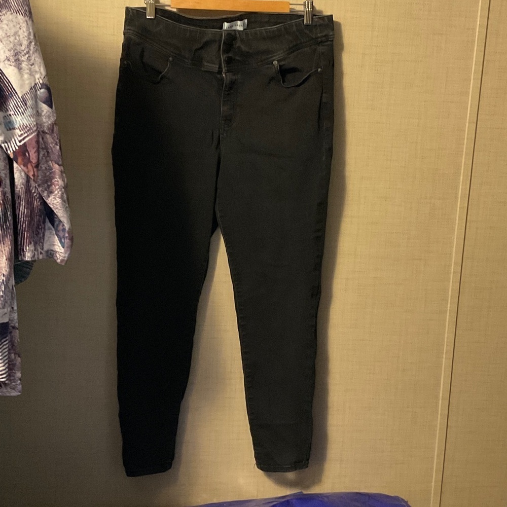 Lane Bryant Women's Dark Jeans